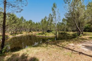 Propriété au coeur des landes - 20HA - Piscine - Etang