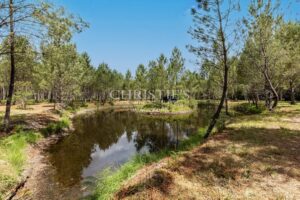 Propriété au coeur des landes - 6HA - Piscine - Etang
