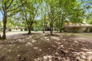 Propriété au coeur des landes - 6HA - Piscine - Etang