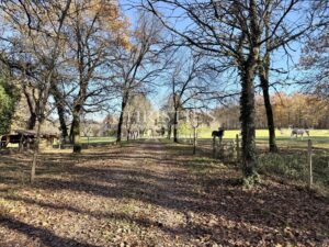 Demeure de caractère du XVIIe siècle au cœur du Périgord