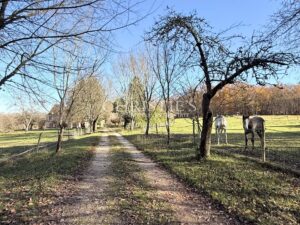 Demeure de caractère du XVIIe siècle au cœur du Périgord