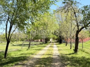 Demeure de caractère du XVIIe siècle au cœur du Périgord