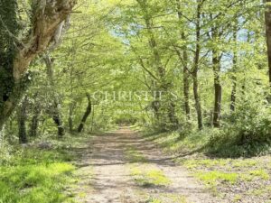 Demeure de caractère du XVIIe siècle au cœur du Périgord