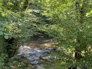 Une PROPRIETE EXCEPTIONNELLE sur 34 HECTARES