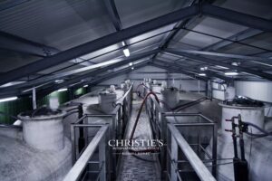 A vendre - Propriété viticole - Machines 3 - VC4702