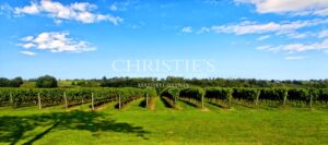 An exceptional property in the heart of the Gers – vineyard and Armagnac distillery