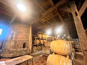 An exceptional property in the heart of the Gers – vineyard and Armagnac distillery