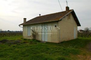 Vineyard Estate in Saint-Émilion: Luxury & Charm