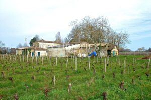 Vineyard Estate in Saint-Émilion: Luxury & Charm