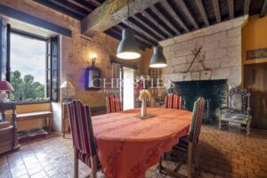 A vendre Beau logis du 16ieme, entiérement rénové