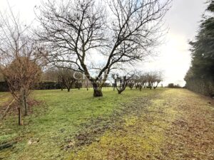 Élégance Intemporelle au Bord de la Charente