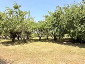 Timeless Elegance on the Banks of the Charente