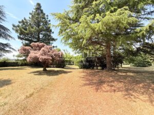 Timeless Elegance on the Banks of the Charente