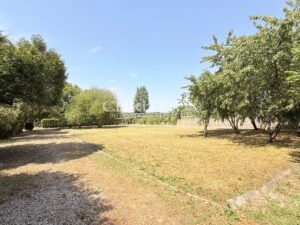 Timeless Elegance on the Banks of the Charente