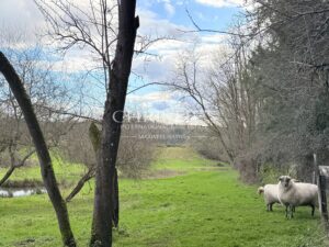 Une demeure du XVIIIᵉ siècle où la pierre et l’eau se répondent.