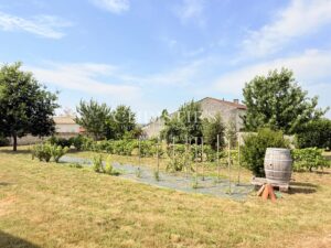 Former Cognac distillery in the heart of a charming village surrounded by vineyards