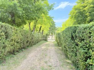 Former Cognac distillery in the heart of a charming village surrounded by vineyards