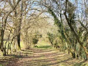 Domaine de Caractère avec Piscine et 14 Hectares de Nature