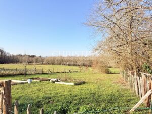 Domaine de Caractère avec Piscine et 14 Hectares de Nature