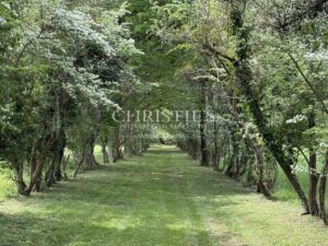 Domaine de Caractère avec Piscine et 14 Hectares de Nature