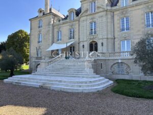 Magnificent château near Poitiers