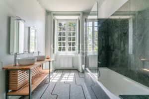 Magnifique château près de Poitiers