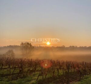 Hobby vineyard estate - Wine tourism - near Bordeaux