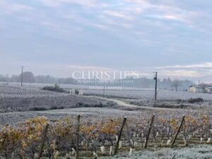 Hobby vineyard estate - Wine tourism - near Bordeaux