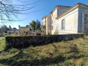 Ancien Château de caractère avec 3 hectares, petit vignoble d'agrément en AOC Lussac St Emilion. De nombreuses dépendances.