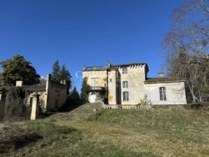 Ancien Château de caractère avec 3 hectares, petit vignoble d'agrément en AOC Lussac St Emilion. De nombreuses dépendances.