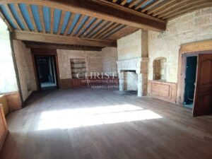 Ancien Château de caractère avec 3 hectares, petit vignoble d'agrément en AOC Lussac St Emilion. De nombreuses dépendances.