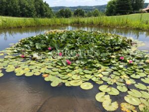Manoir luxueux du XVe siècle à vendre en Dordogne