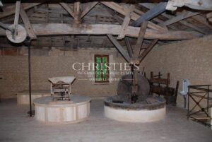 Magnifique propriété avec maison de maître, moulin et gîtes