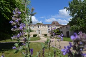 Beautiful Château with gîte and organic vineyard in the Bergerac region