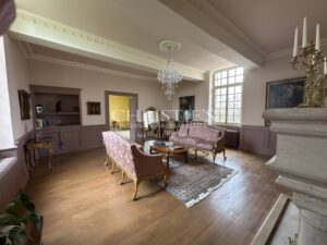 Beautiful Château with gîte and organic vineyard in the Bergerac region