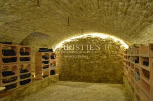 Beautiful Château with gîte and organic vineyard in the Bergerac region