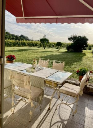 Beautiful Château with gîte and organic vineyard in the Bergerac region