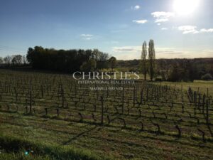 Beautiful Château with gîte and organic vineyard in the Bergerac region