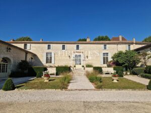 Beautiful Château with gîte and organic vineyard in the Bergerac region