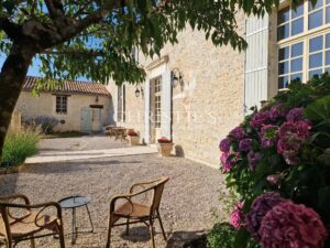 Beautiful Château with gîte and organic vineyard in the Bergerac region