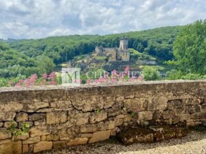 Magnificent Medieval Château in the Heart of the Dordogne