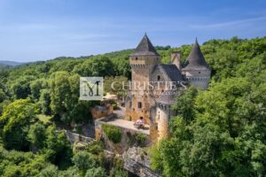 Magnificent Medieval Château in the Heart of the Dordogne