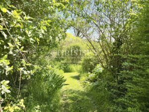 An Artist’s Retreat in Complete Seclusion – Open Views and Absolute Tranquillity