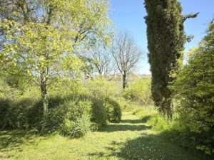 An Artist’s Retreat in Complete Seclusion – Open Views and Absolute Tranquillity