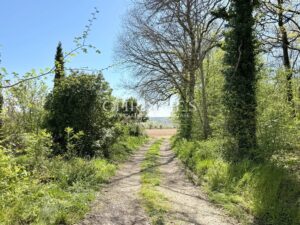 An Artist’s Retreat in Complete Seclusion – Open Views and Absolute Tranquillity