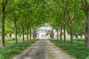 COGNAC – A VENDRE MAGNIFIQUE PROPRIETE VITICOLE