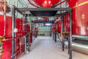 COGNAC – A VENDRE MAGNIFIQUE PROPRIETE VITICOLE