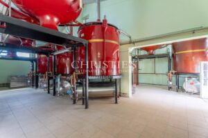 COGNAC – A VENDRE MAGNIFIQUE PROPRIETE VITICOLE
