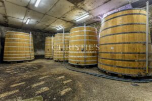COGNAC – A VENDRE MAGNIFIQUE PROPRIETE VITICOLE