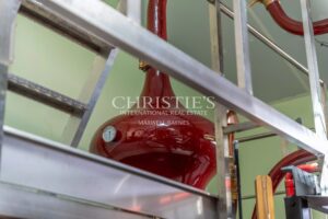 COGNAC – A VENDRE MAGNIFIQUE PROPRIETE VITICOLE